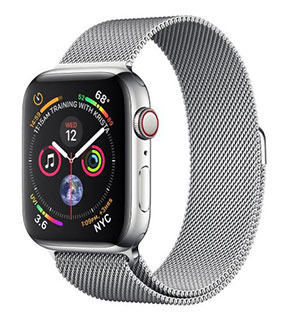 Apple Watch Series 4 (Stainless Steel 44/40 mm)