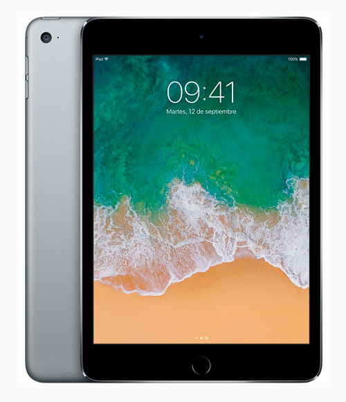 iPad Mini 4 (А1550)