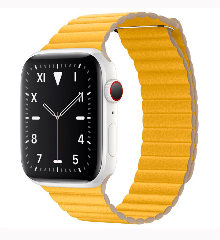 Apple Watch Series 5 (Ceramic 40/44 mm)