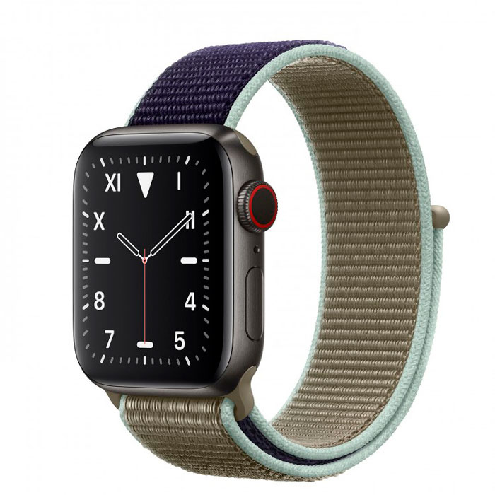 Apple Watch Series 5 (Edition, Titanium  40/44 mm)